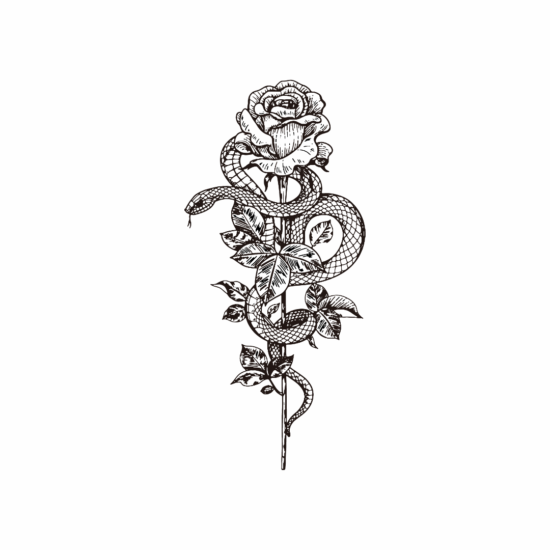 Rose and Snake